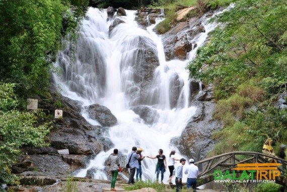 Thuê Xe Du Lịch 4 chỗ, 7 chỗ, 16 chỗ đi Đà Lạt Từ Tuy Hòa, Phú Yên 2 Ngày 1 Đêm